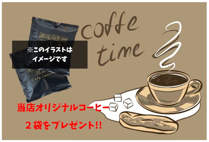 ★送料無料★【父の日ギフト】3000円♪6/19までのご注文（ご入金）で『6/22』に到着☆6/16～順次出荷☆冷凍ギョーザ・えびしそギョーザ・肉シュウマイ　全３パックセット