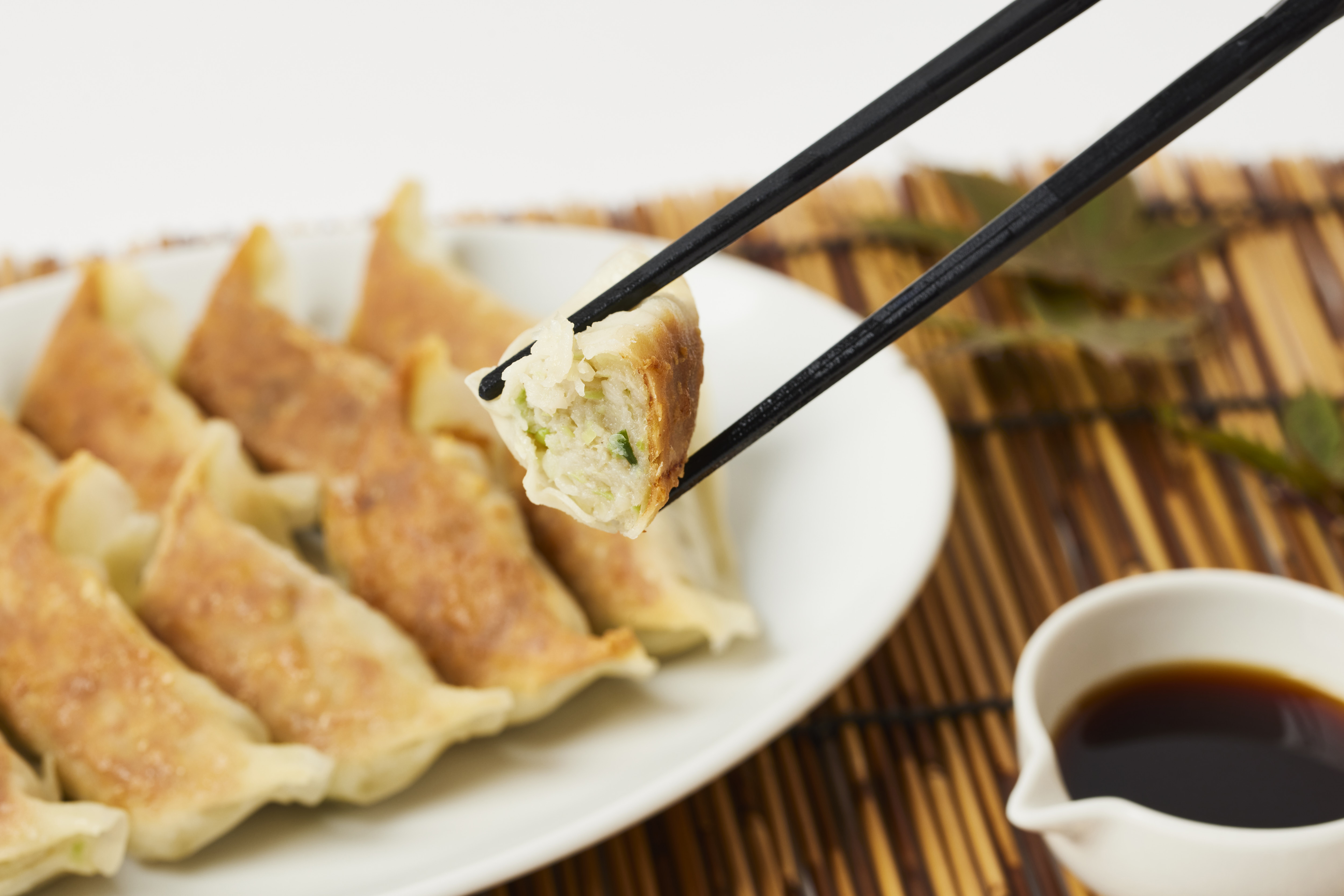 ★送料無料★【お中元ギフト】8/31まで受付中!!3500円☆～順次出荷☆冷凍ギョーザ・上海棒ギョーザ・みやざき地頭鶏ギョーザ　全３パックセット