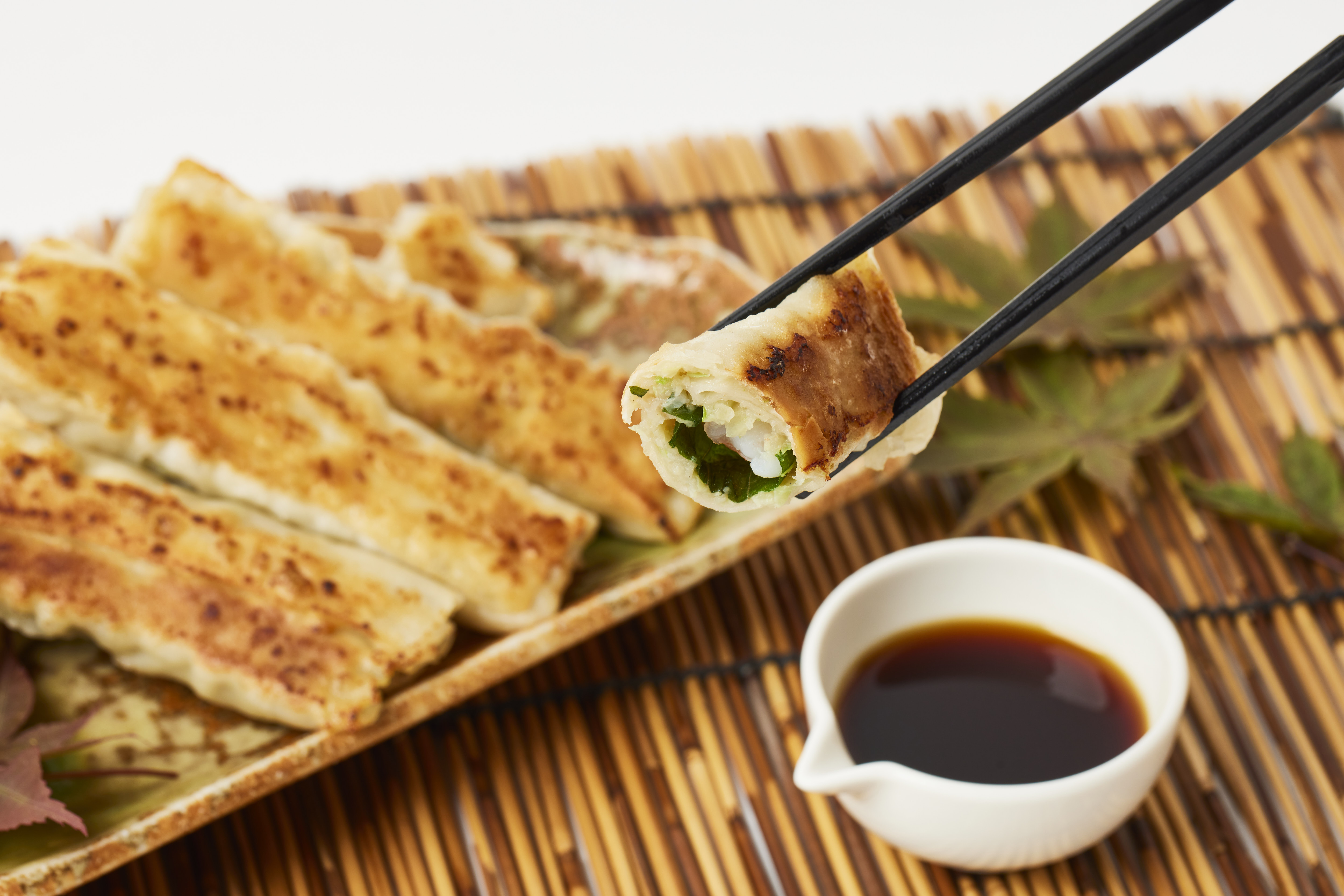 ★送料無料★【お中元ギフト】8/31まで受付中!!!4000円☆～順次出荷☆冷凍ギョーザ・上海棒ギョーザ各２パック　全4パックセット