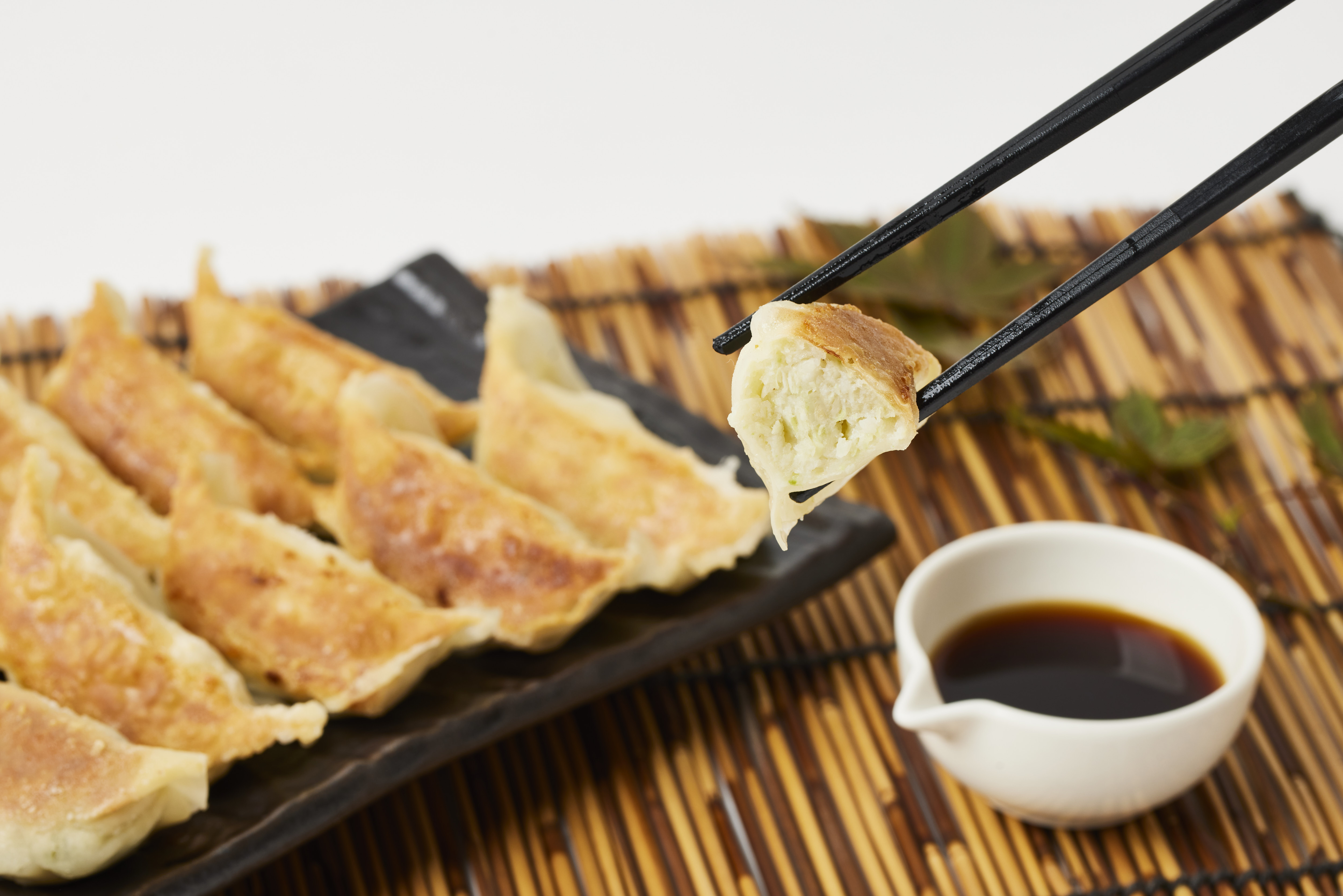 ★送料無料★【お歳暮ギフト】12/25まで受付中!!5400円☆～順次出荷☆冷凍ギョーザ・上海棒ギョーザ・みやざき地頭鶏ギョーザ　全５パックセット